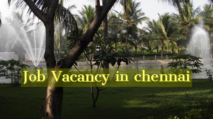 job vacancy in chennai
