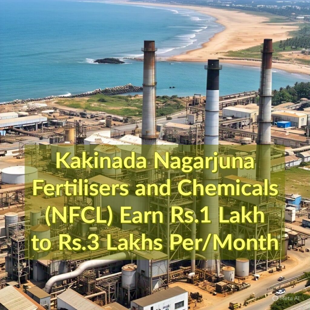 Kakinada Nagarjuna Fertilizers and Chemicals (NFCL) Earn Rs.1 Lakh to Rs.3 LakhsMonth
